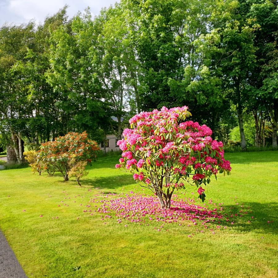 Bogenraith House Hotel Banchory Exterior photo